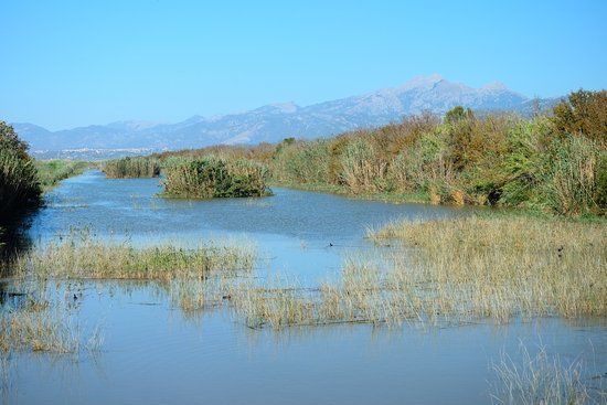 Parque Natural S'Albufera de Mallorca